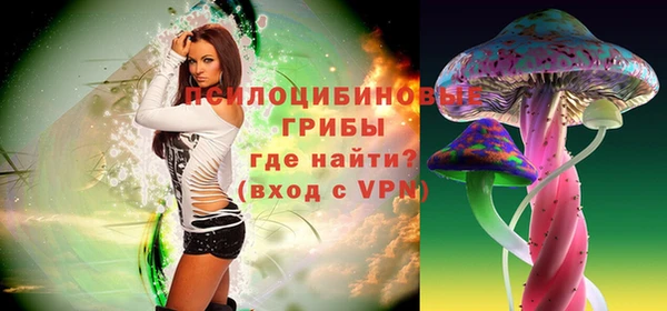 СК Корсаков